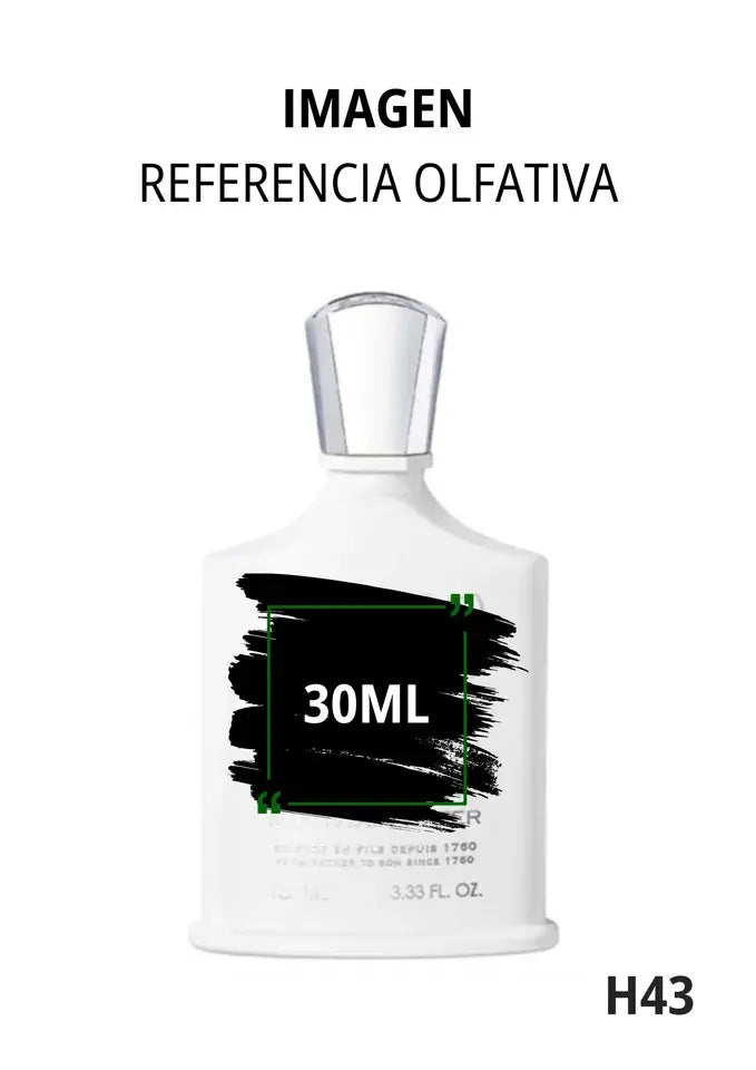 Silver Mountain Water