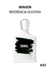 Silver Mountain Water